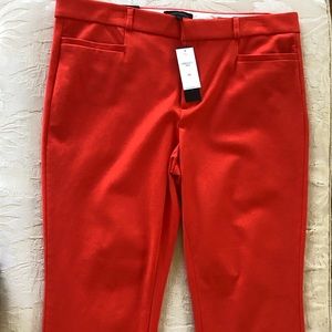 Women’s New Beautiful Banana Republic Pants